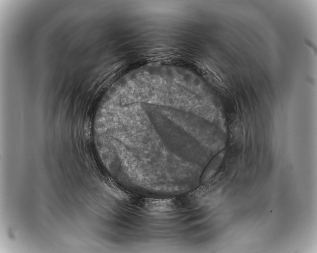 X0000097860081200804111204