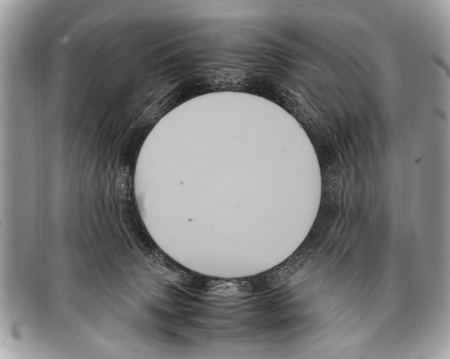 X0000097860083200804111204