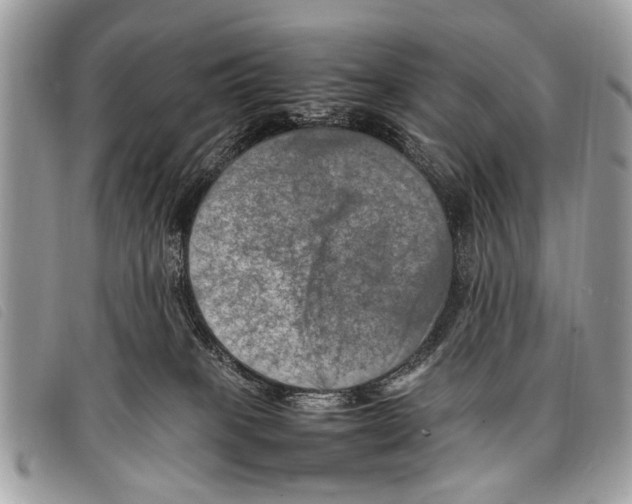 X0000097860085200804111204