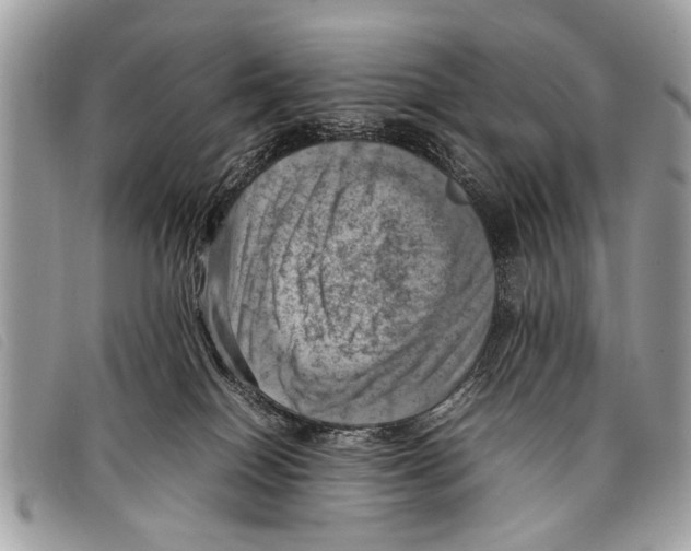 X0000097860086200804111204