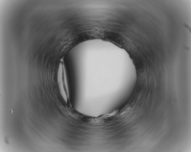 X0000097860088200804111204