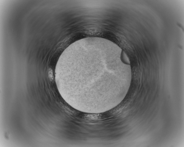 X0000097860089200804111204