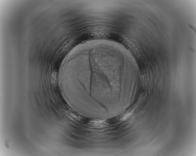 X0000097860093200804111204