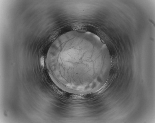 X0000097860094200804111204