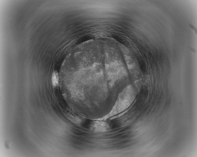 X0000097860095200804111204