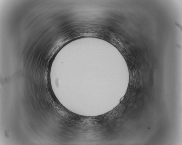 X0000097860098200804111203