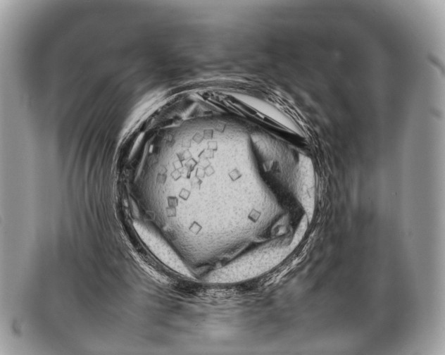 X0000097860101200804111203