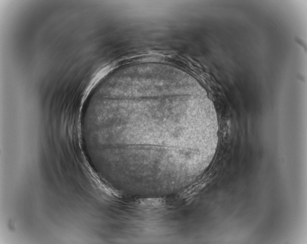 X0000097860102200804111203