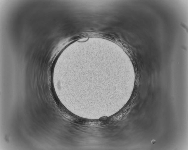 X0000097860103200804111203