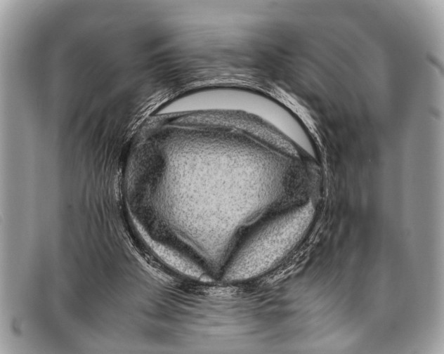 X0000097860105200804111203