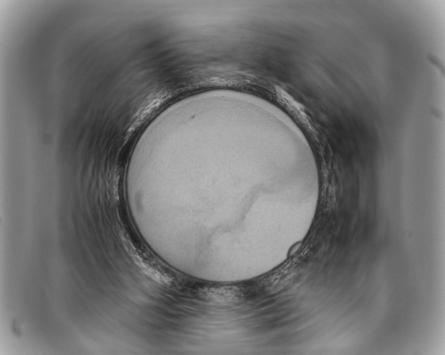 X0000097860106200804111203