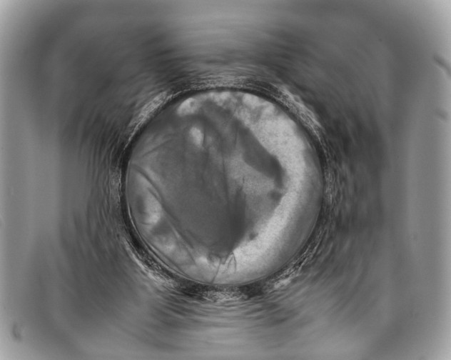 X0000097860107200804111203