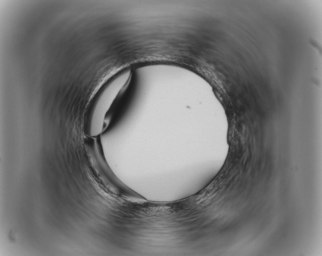 X0000097860108200804111203