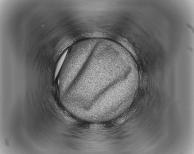 X0000097860109200804111203