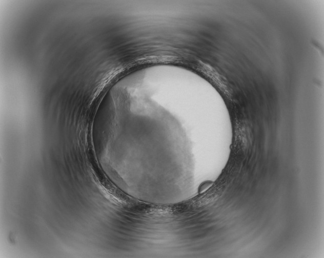 X0000097860110200804111203