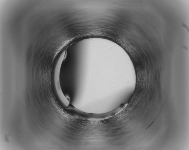 X0000097860112200804111203