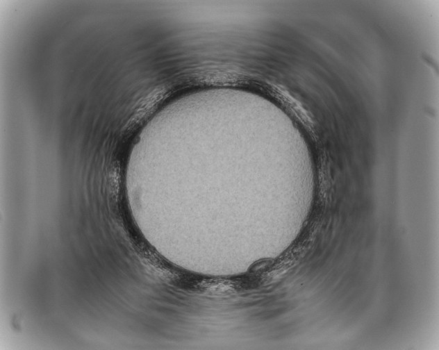 X0000097860113200804111203