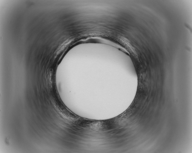 X0000097860116200804111203