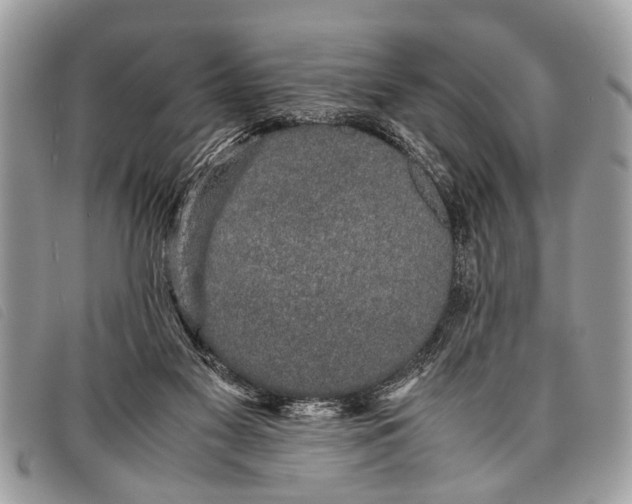 X0000097860117200804111203