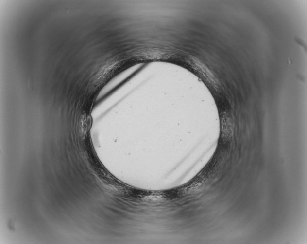 X0000097860119200804111203