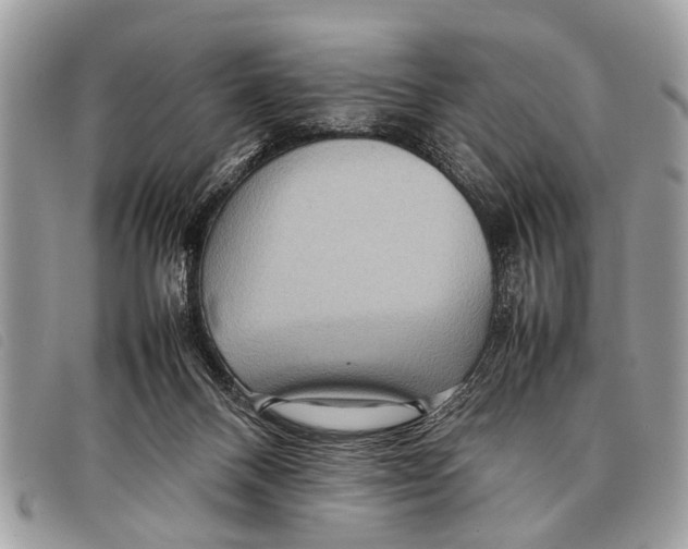 X0000097860120200804111203