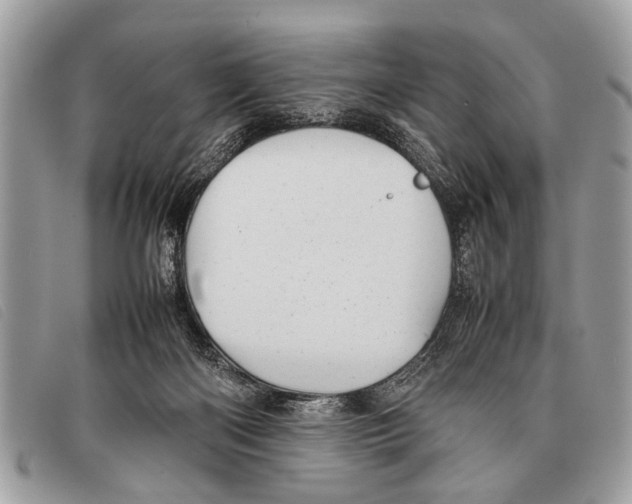 X0000097860122200804111203