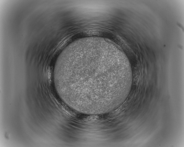 X0000097860124200804111203