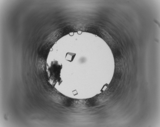 X0000097860125200804111203