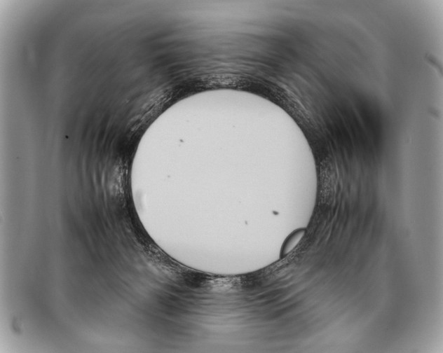 X0000097860126200804111203