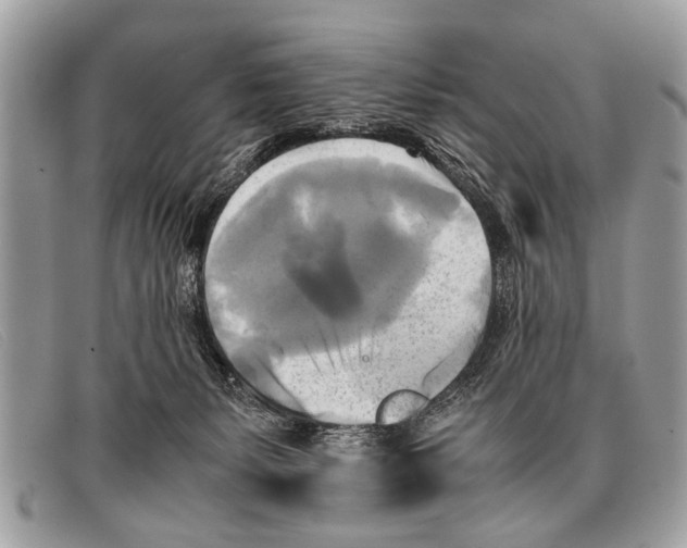 X0000097860127200804111203