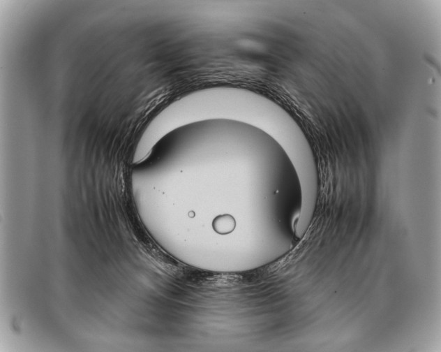 X0000097860128200804111203