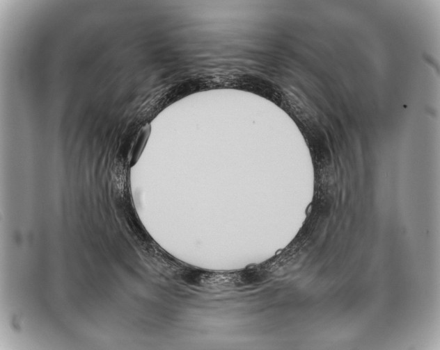 X0000097860129200804111203