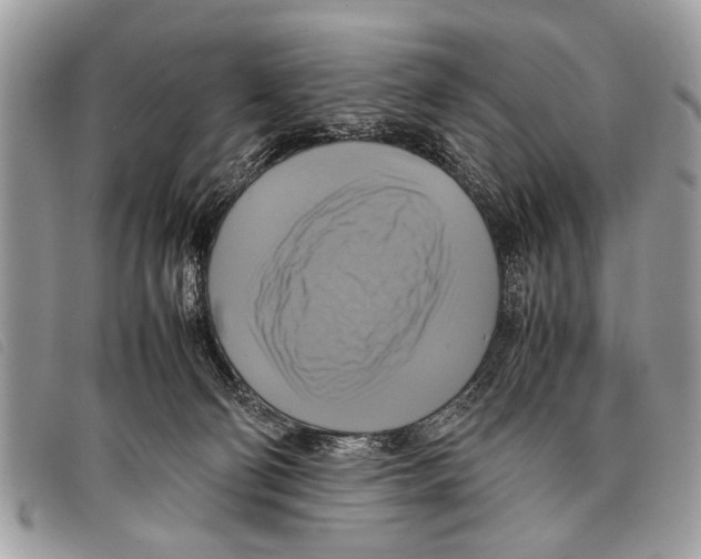 X0000097860130200804111203