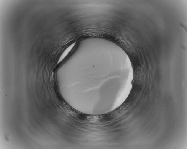 X0000097860131200804111203