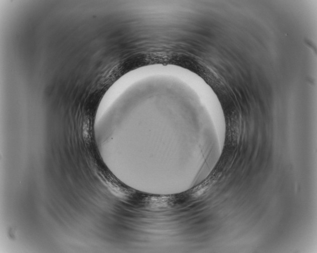 X0000097860134200804111203