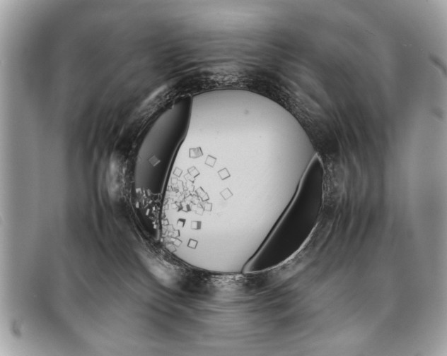 X0000097860136200804111203