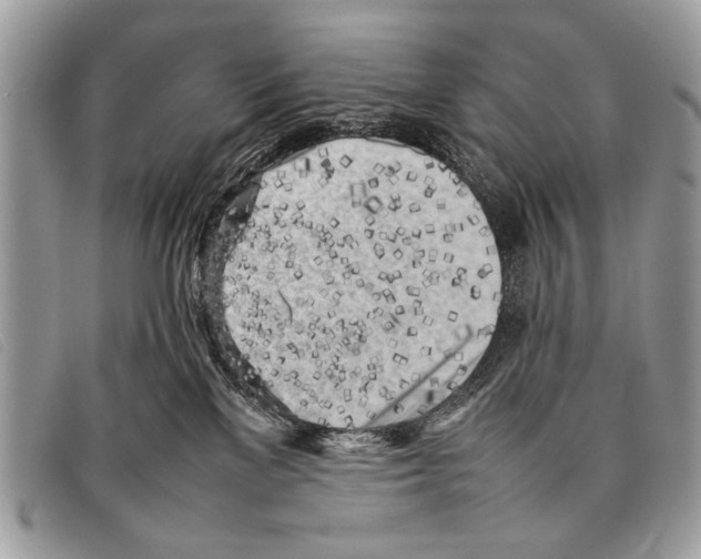 X0000097860137200804111203