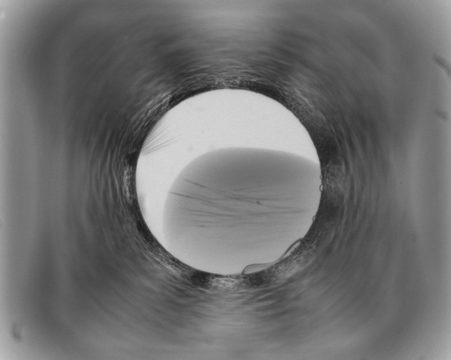 X0000097860139200804111203