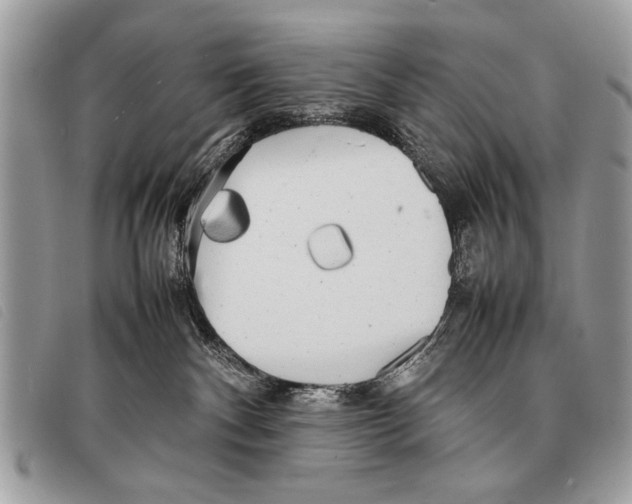 X0000097860140200804111203