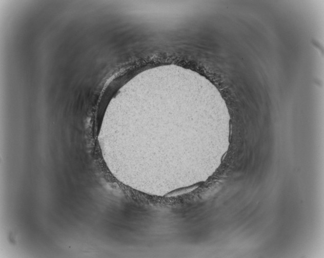 X0000097860144200804111202