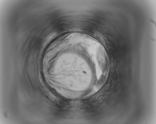 X0000097860145200804111202