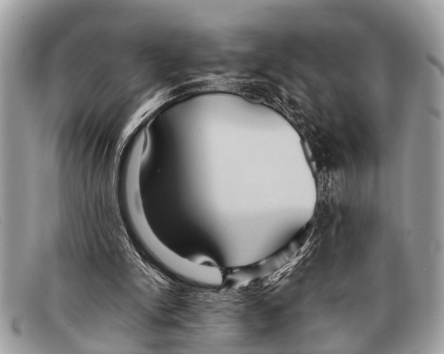 X0000097860150200804111202