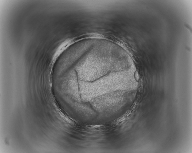 X0000097860151200804111202