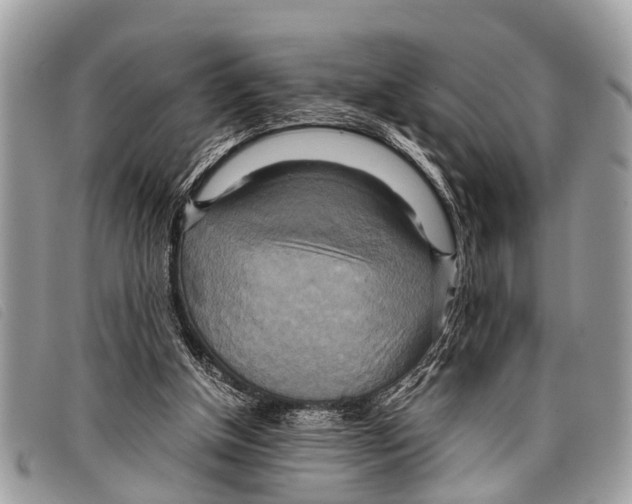 X0000097860154200804111202