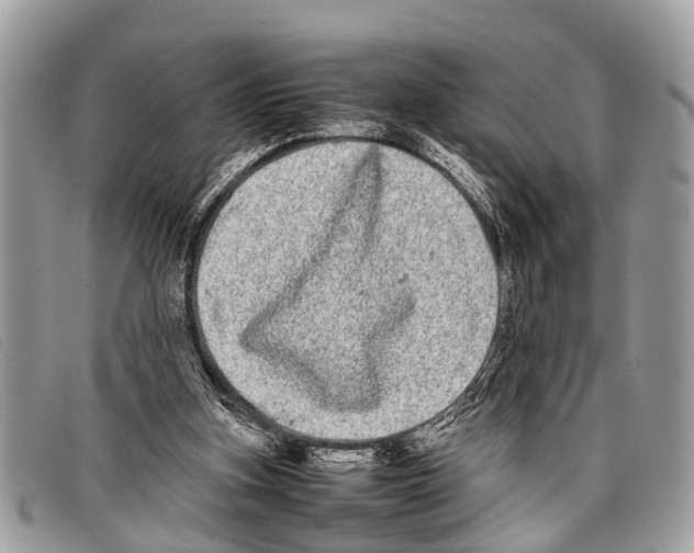 X0000097860155200804111202