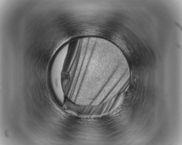 X0000097860156200804111202