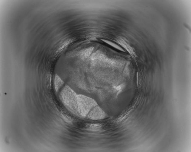 X0000097860157200804111202