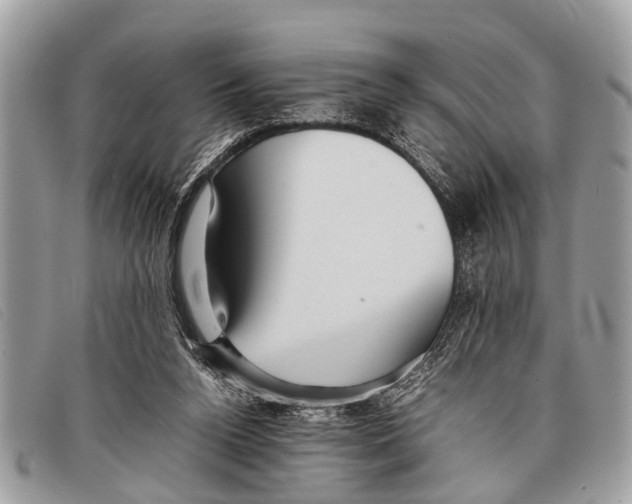 X0000097860160200804111202