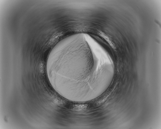 X0000097860161200804111202