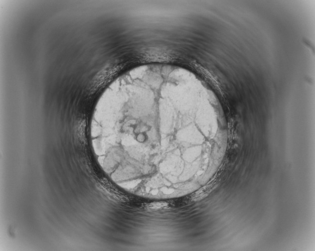 X0000097860162200804111202